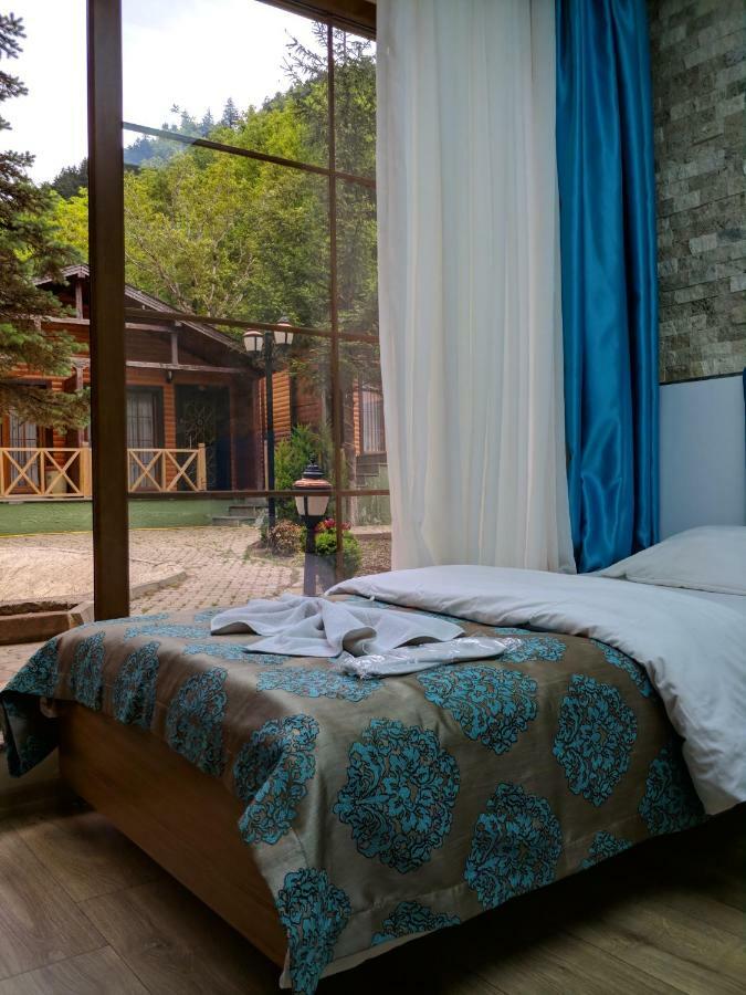 Centro Park Hotel Uzungöl Pokój zdjęcie